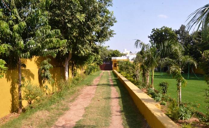 Hotel Tiger Regency Resort Sawai Madhopur Dış mekan fotoğraf